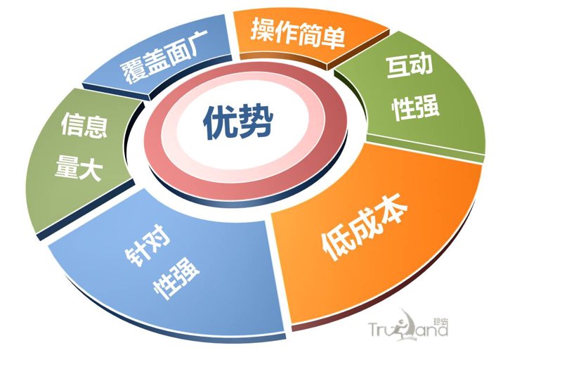 品牌网站策划